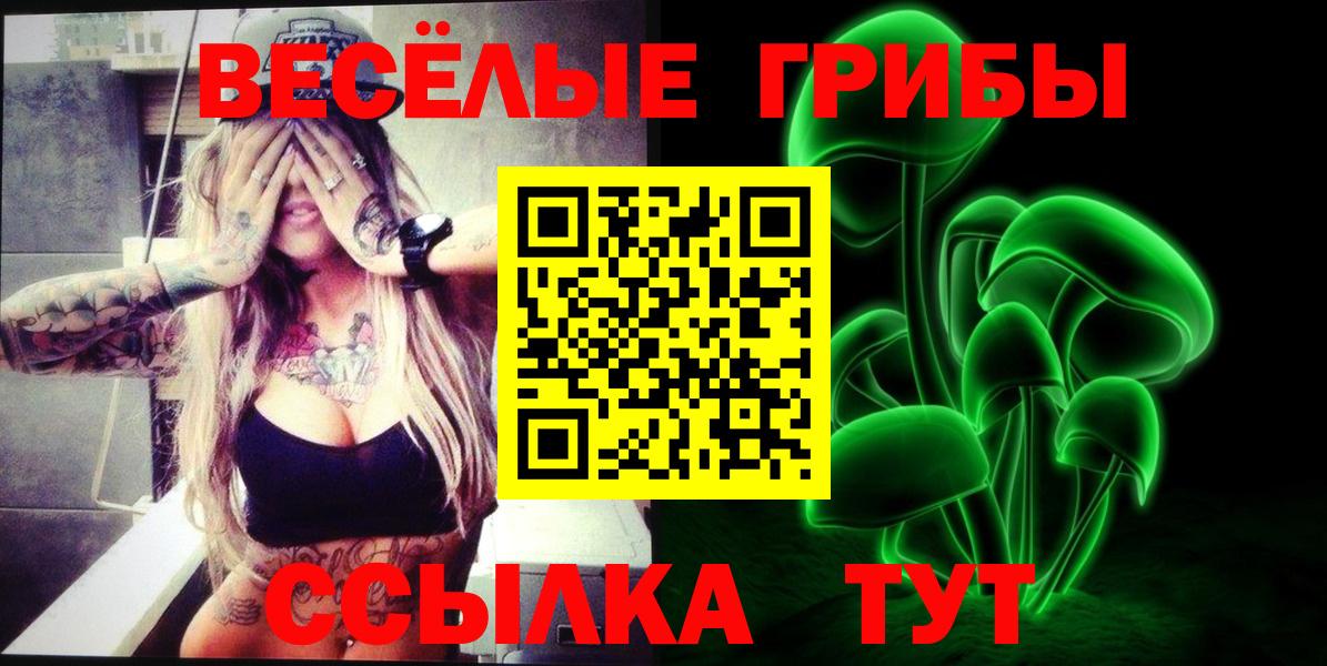 Советская Гавань  Псилоцибиновые грибы мухоморы  купить наркотики сайты  Вход с VPN 