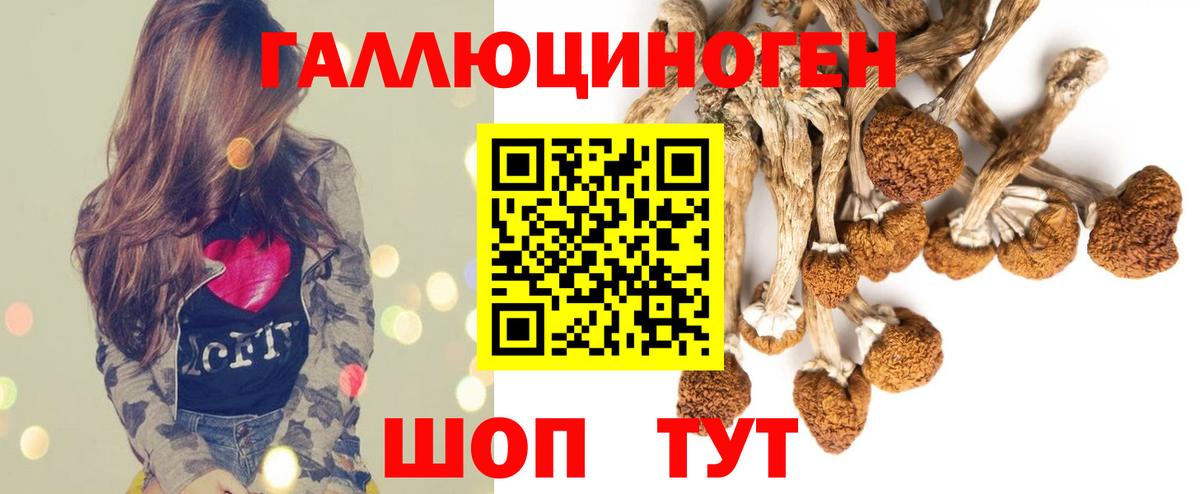 Галлюциногенные грибы Magic Shrooms Советская Гавань